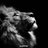 Jakob815's profile image