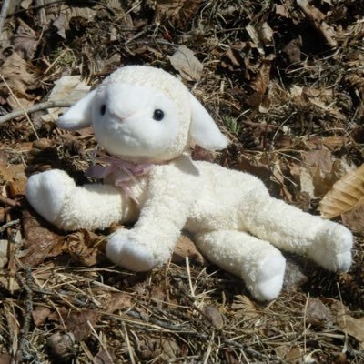 reguilett's profile picture. A.k.a. Ceii ☄️ Cronopio/Feminist/Procrastinator/Ravenclaw/Overthinker/Resilient/Victim/Cinephile 🎬 perritos 🐶🏎 I am a Jedi, like my father before me. ✨