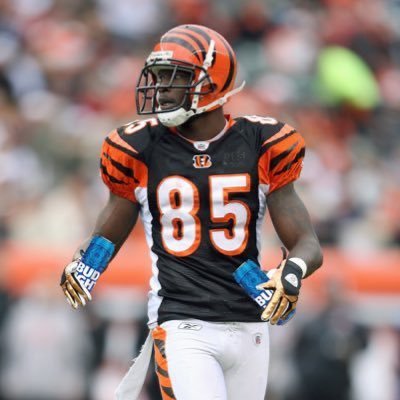 ochodrinko85's profile picture. Bald | All tweets are satirical and not meant to be taken as financial, career, medical, entrepreneurial, relational, or life advice | I am not Chad Ochocinco