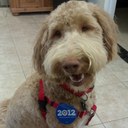 Patrick Shine - @pshine84 - Twitter