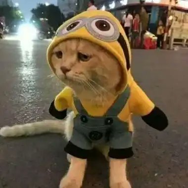 23Mged's profile picture. スポーツ観戦が生きがい。応援してると元気が出るし、仲間と盛り上がるの最高！