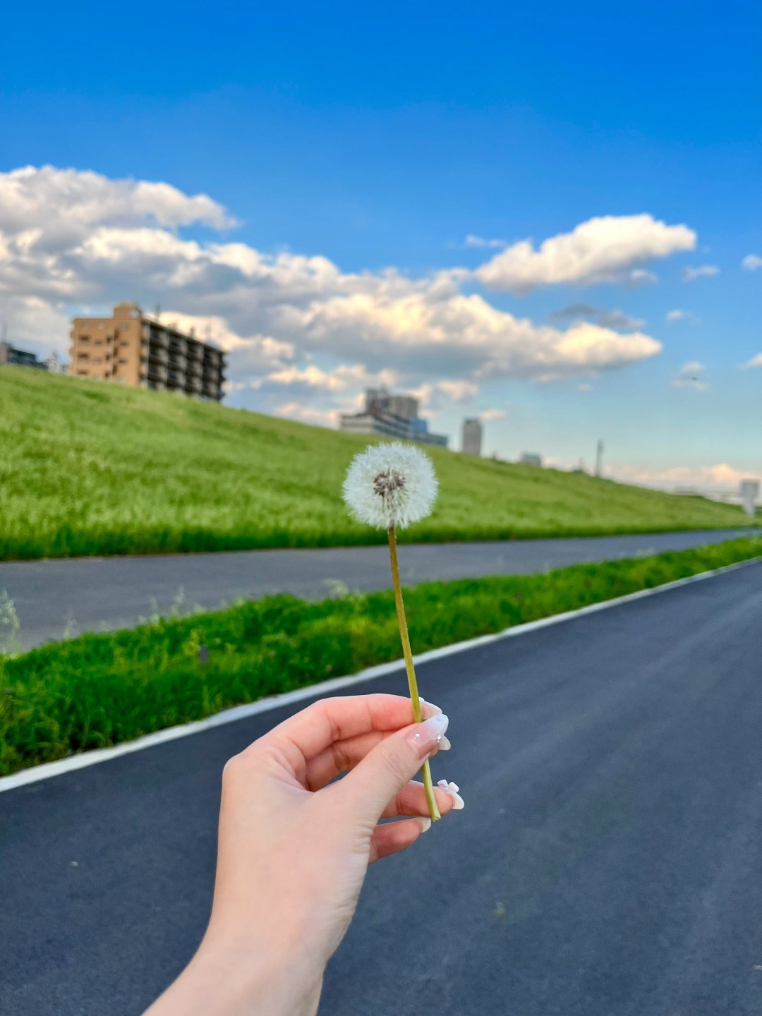 bela_sanjaya86's profile picture. お菓子作りと散歩が好き。ふらっと歩きながら新しいカフェ探してます。日々に小さな楽しみをプラス♪