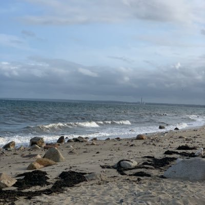 ProudPatriot81's profile picture. 