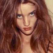 coppolvs's profile picture. 