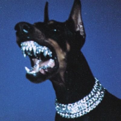 Altaigoo's profile picture. 🧊❄️