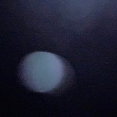 wimarys's profile picture. 