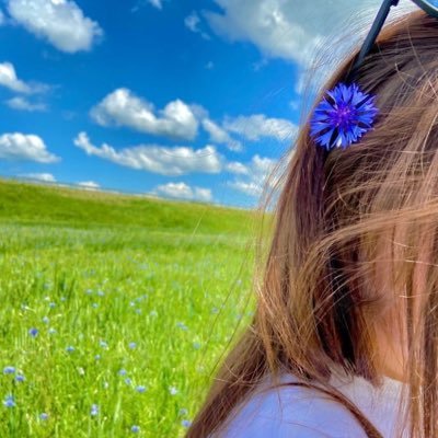 marbb70's profile picture. به گیتی مر آن مرز را فرهيست كه درسايه ى فر شاهنشهى ست نيابد زبان جز بدين نكته راه كه همواره جاويد و پاينده شاه💚🤍❤️