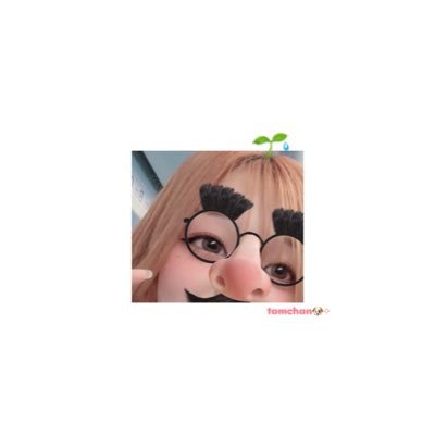 tamnyan_pubg's profile picture. 𝑷𝑼𝑩𝑮 𝑴 ☠💣￤無言ふぉろー失礼します‼️ふれんど基本整理しないので削除はお任せ︎︎⟡￤PUBG関連はフォロバ🫶🏻￤プライベートも上げますᴖ ̫ᴖ ✊🏻
