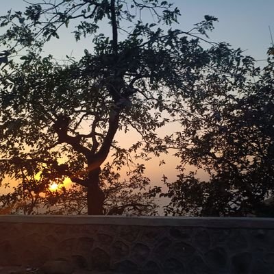 BhushanCho57328's profile picture. 