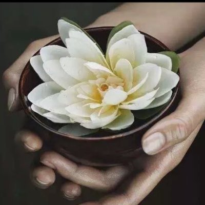 Theoria79's profile picture. 노무현대통령의 꿈이 이루어지는 세상을 기다리고.....
이재명대통령이 되고 대한민국 국민 모두 행복하시기를......
누구도 누구를 함부로 할수없어
그럴 권리는 아무도 없는 거란다  그건 죄야