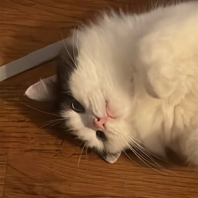 hhaitchwai_'s profile picture. 에이핑크🫶 루시 wavetoearth