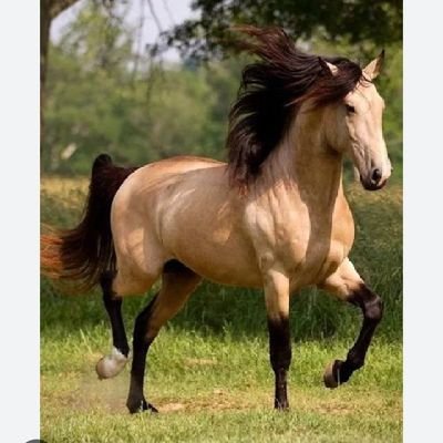 Auburnfan1979's profile picture. 