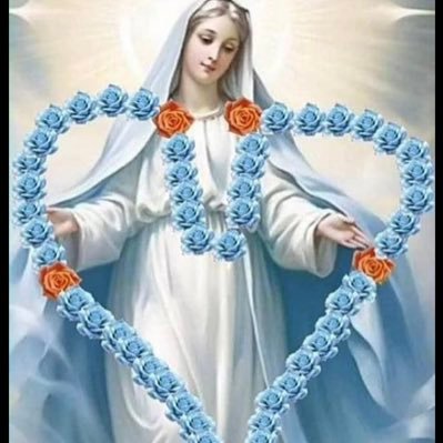 MiaBichon's profile picture. “Let all you that you do be done with love.” It’s not who you were……it’s who you decide to become.” Praying the Rosary will change your life.❤️📿🙏