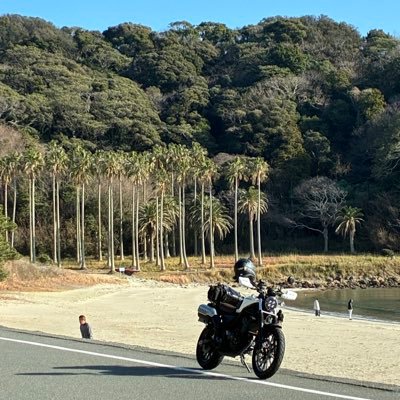 nisshy_cl250_86's profile picture. 伊豆の玄関口の人です。アポロジック🟥🟦/piggs🟣推し!!/SATAbuilders/音楽はほぼオールジャンルで聞きます/タフト（夫婦）・ミライース（通勤）・CL250（遊び）の10輪生活/glo5個持ちヘビーユーザー（希少）/古着/🏍ドライブ🚘/インカムはJESIMAIK