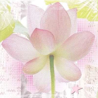 jxsslxnnn's profile picture. rue