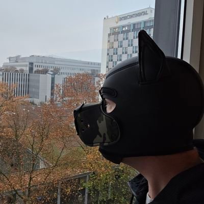 John_Five_Recon's profile picture. Kinky Dom Dog (some of the time), Nikes, rubber, sports, hoods, bondage, tormenting you till you leak. Biker for  rides.