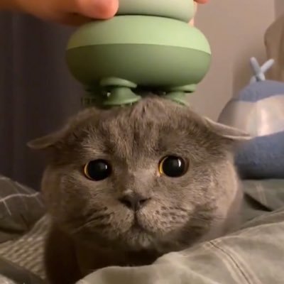 Kzin_091's profile picture. クラン【MAVERICK】スクリームチーム【ALTAIR】 Twitterのアカウントが変わりました❤️『@brk___013の右肩補佐です』🥚🥚🥚🥚