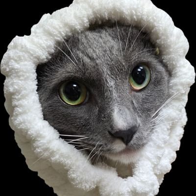 kazamaik83's profile picture. 일상/패션/여행/주식/헬스/테니스/골프/러닝/등산/자전거/수영/스키/이것저것/특별히 잘하는 건 없는 40대 아조씨/하몽이/2024년 9월생/숫놈/편의점 천장에서구조