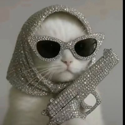 Shoe_FEIGN's profile picture. Chicago|NCAT Alumna|👩🏾‍🏫👷🏾‍♀️