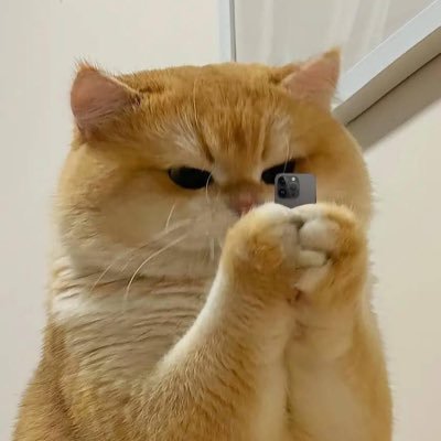 γατσούλι 🐱