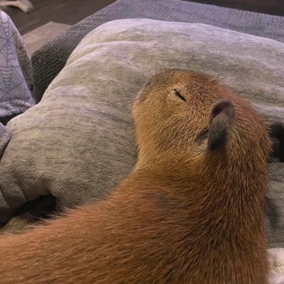 innny09's profile picture. 