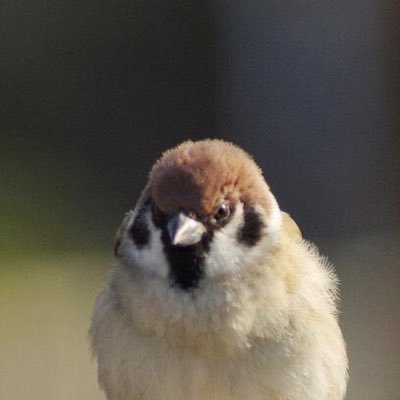 hho28s1's profile picture. ⚔️🎮/구독합니다