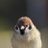 hho28s1's profile image