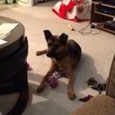 Nate Robinson - @NateRobinson18 - Twitter