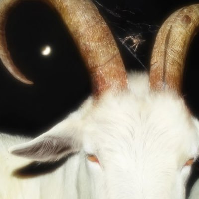 ra20ru's profile picture. ２２ 。intj&capricorn ⠀⠀⠀⠀⠀⠀𐕣;⛥⠀⠀⠀⠀⠀⠀ ⠀⠀⠀⠀⠀⠀⠀⠀⠀⠀⠀⠀#shtwt 、#bpdtwt 、#988twt