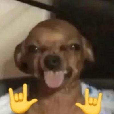 gamwyyy's profile picture. kalau akunnya ga menarik, coba didorong.