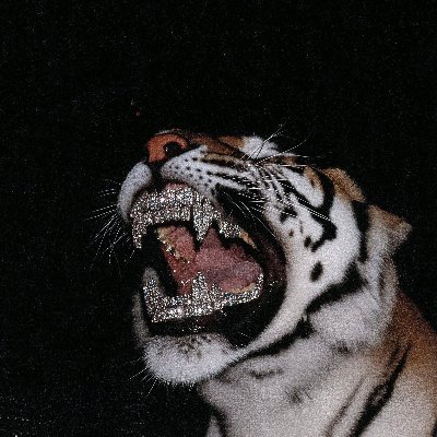 ktpade's profile picture. solo building