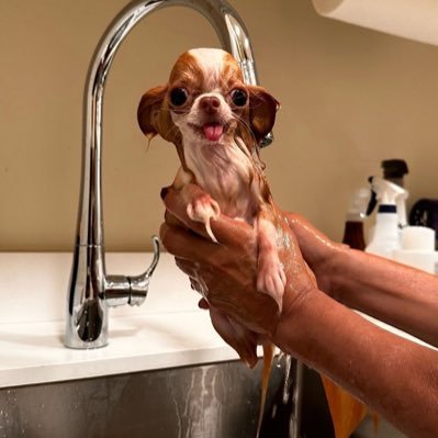 chat_demi's profile picture. 