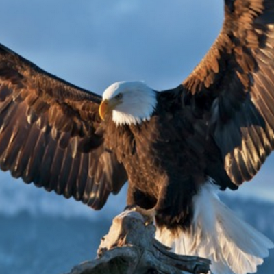 JohnZajac18's profile picture. 