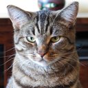 Ted Bryan - @asshatcat - Twitter