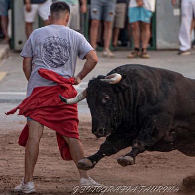 dolzalbu's profile picture. 