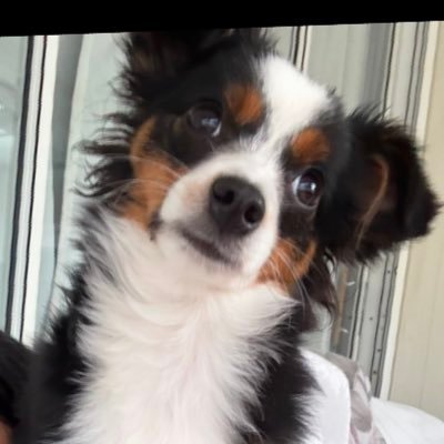 Meli1Park1's profile picture. 