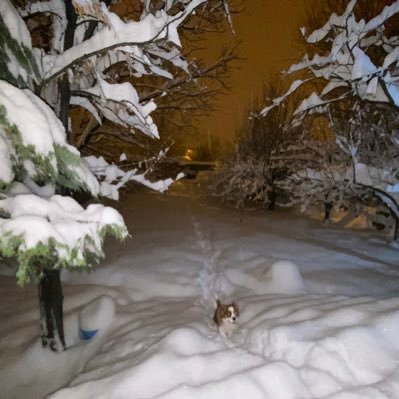 fredgeziyor's profile picture. fred personalarımdan yalnızca biri . sapioseksual, enfj,gemini, law phd student,fitness⭐️♊️🐬🦉🦋 ig: fredgeziyor 🙃dolabım: https://t.co/q7NlW7dI06