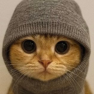 smoothshiller's profile picture. Sent a few coins to millions • Will do it again