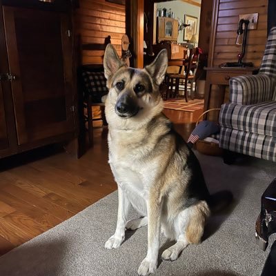 RussellLevine17's profile picture. Great person