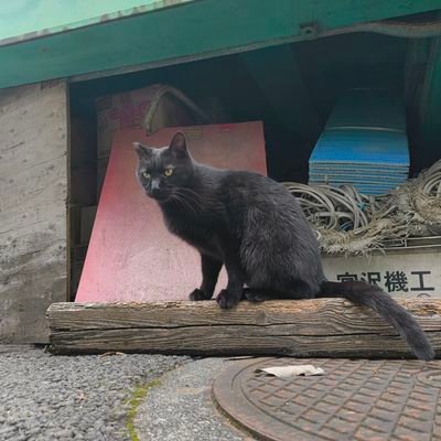 add9h15's profile picture. 2026〜　jaist