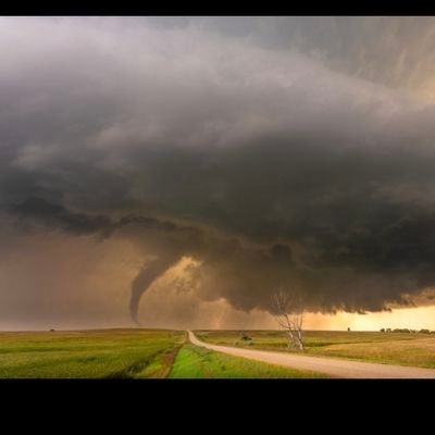 ritter_farms's profile picture. Farming in NC SD. Holding the fort down for the next generation.  NSU graduate and former educator. Soil health nerd and Mustang Seeds dealer.