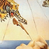The deranged female subconscious.