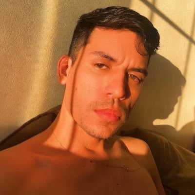 VinyAdonay13's profile picture. Cadelinha do álbum Reputation. 👨🏻‍⚕️👍🏼