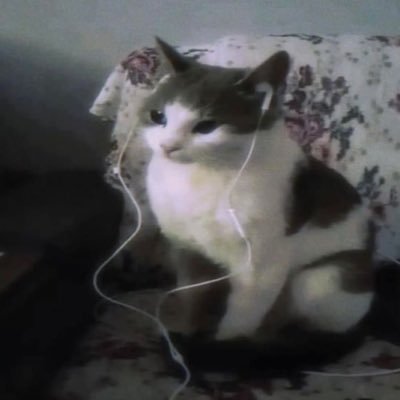 rczahx's profile picture. 