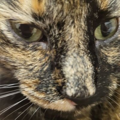 itwasagoodtimo7's profile picture. Cod addicted