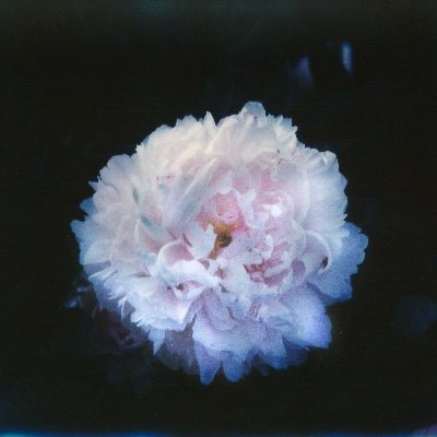 pristineasgrief's profile picture. Poetry is what is most real, what is completely true only in another world. This world is a hieroglyphic dictionary.