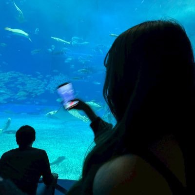 ogwgwg's profile picture. 