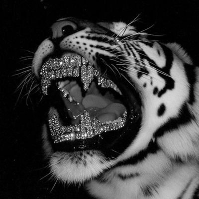 wct_d's profile picture. 