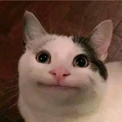 Mindfulllnq's profile picture. 