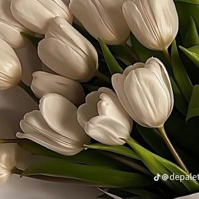 tropicalmaliik's profile picture. i flew all over from greece to germany to see them, this is how much i love them